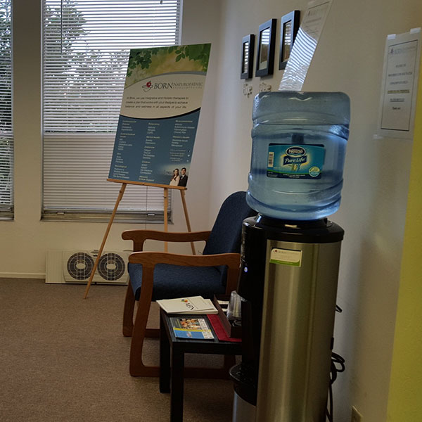 Waiting room at Dr. Born's former naturopathic clinic in Connecticut.